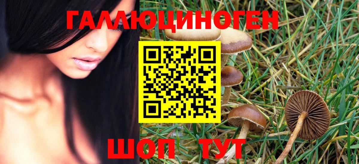 Псилоцибиновые грибы Magic Shrooms  Псилоцибиновые грибы Magic Shrooms  Борисоглебск  Вход с VPN 
