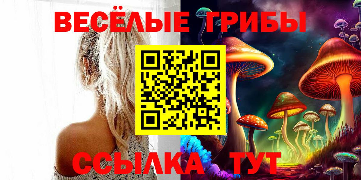 Псилоцибиновые грибы Psilocybe Борисоглебск